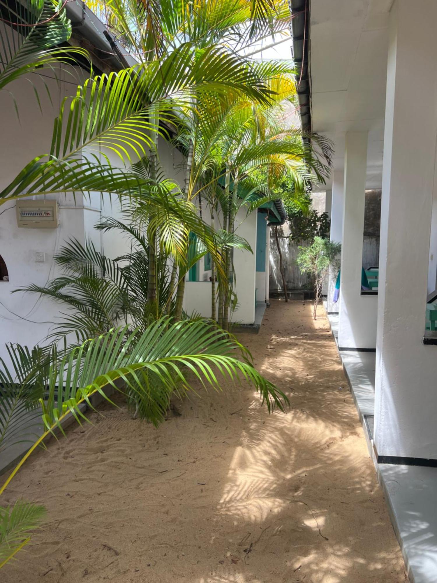 فندق Moxy Bay Arugambay آروغام المظهر الخارجي الصورة