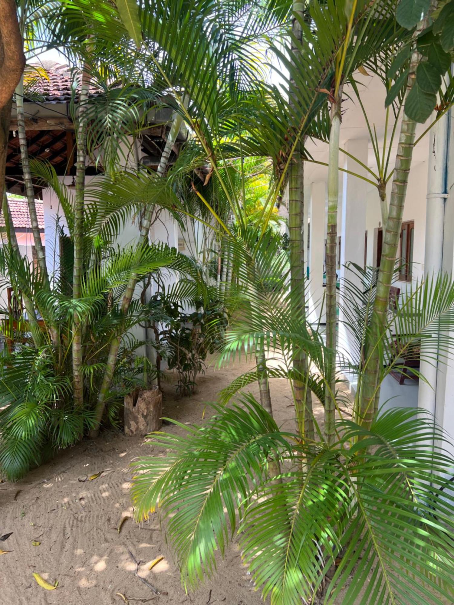 فندق Moxy Bay Arugambay آروغام المظهر الخارجي الصورة
