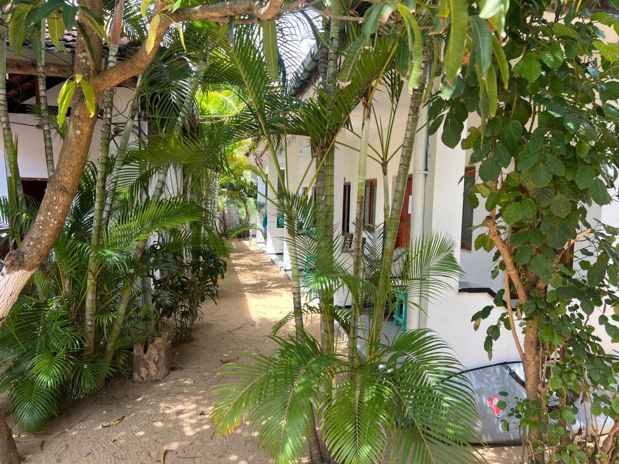 فندق Moxy Bay Arugambay آروغام المظهر الخارجي الصورة