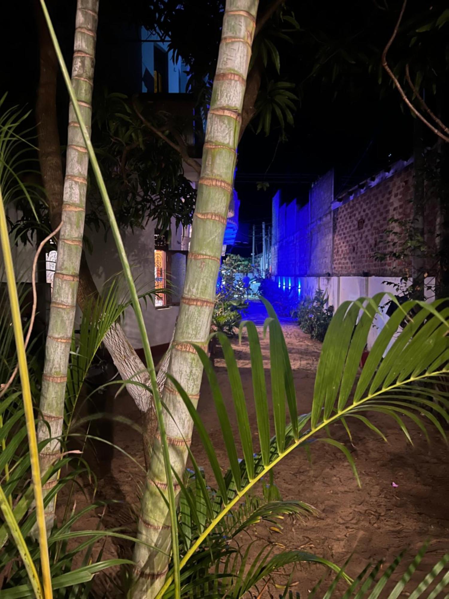 فندق Moxy Bay Arugambay آروغام المظهر الخارجي الصورة