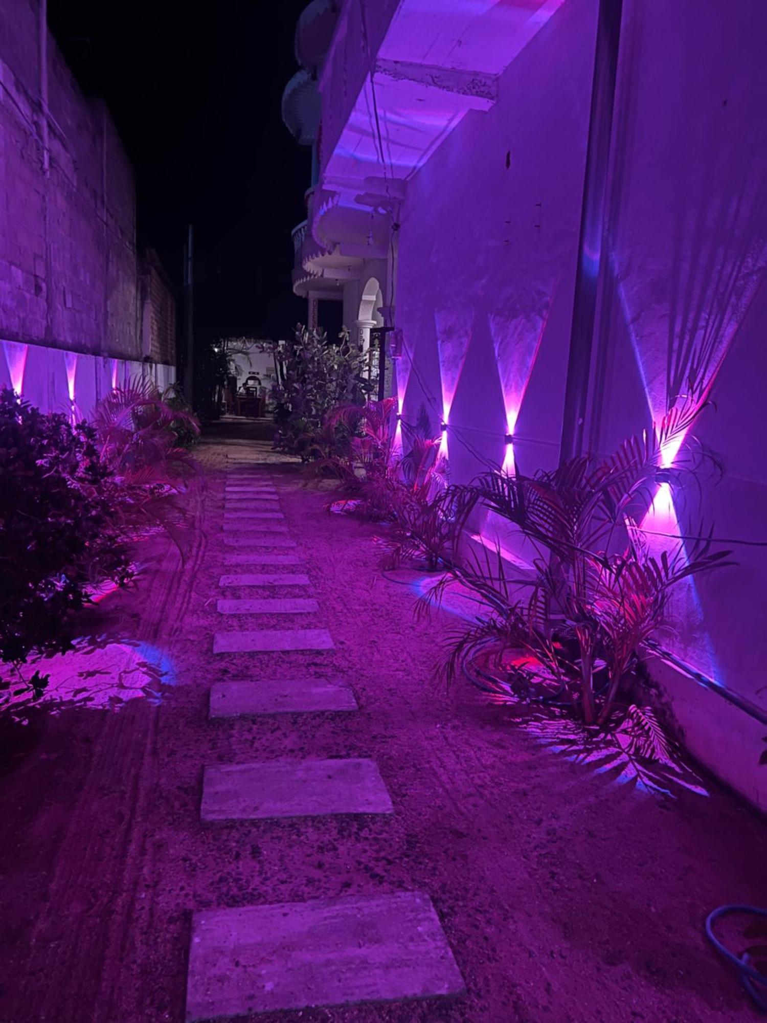 فندق Moxy Bay Arugambay آروغام المظهر الخارجي الصورة