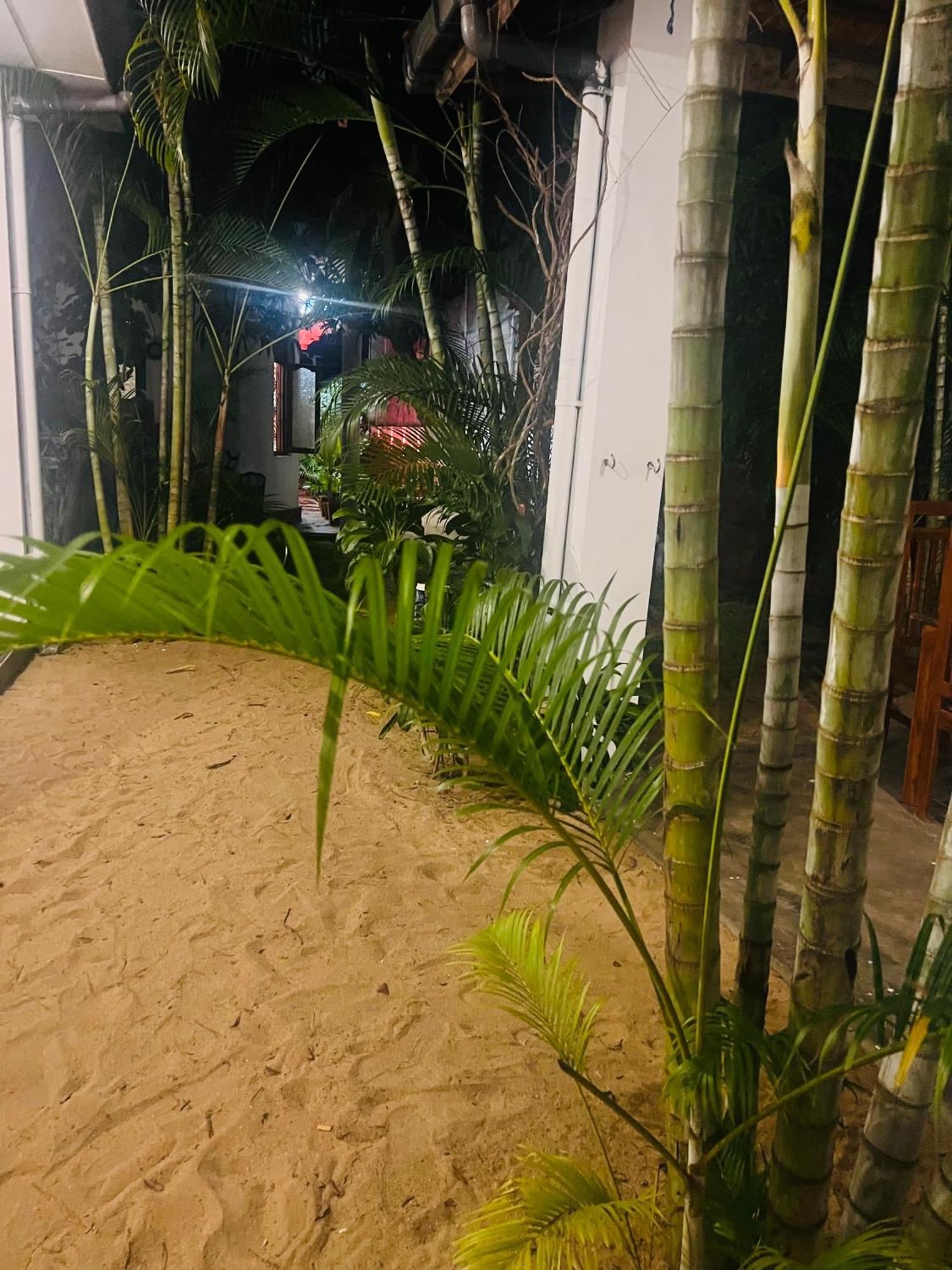 فندق Moxy Bay Arugambay آروغام المظهر الخارجي الصورة