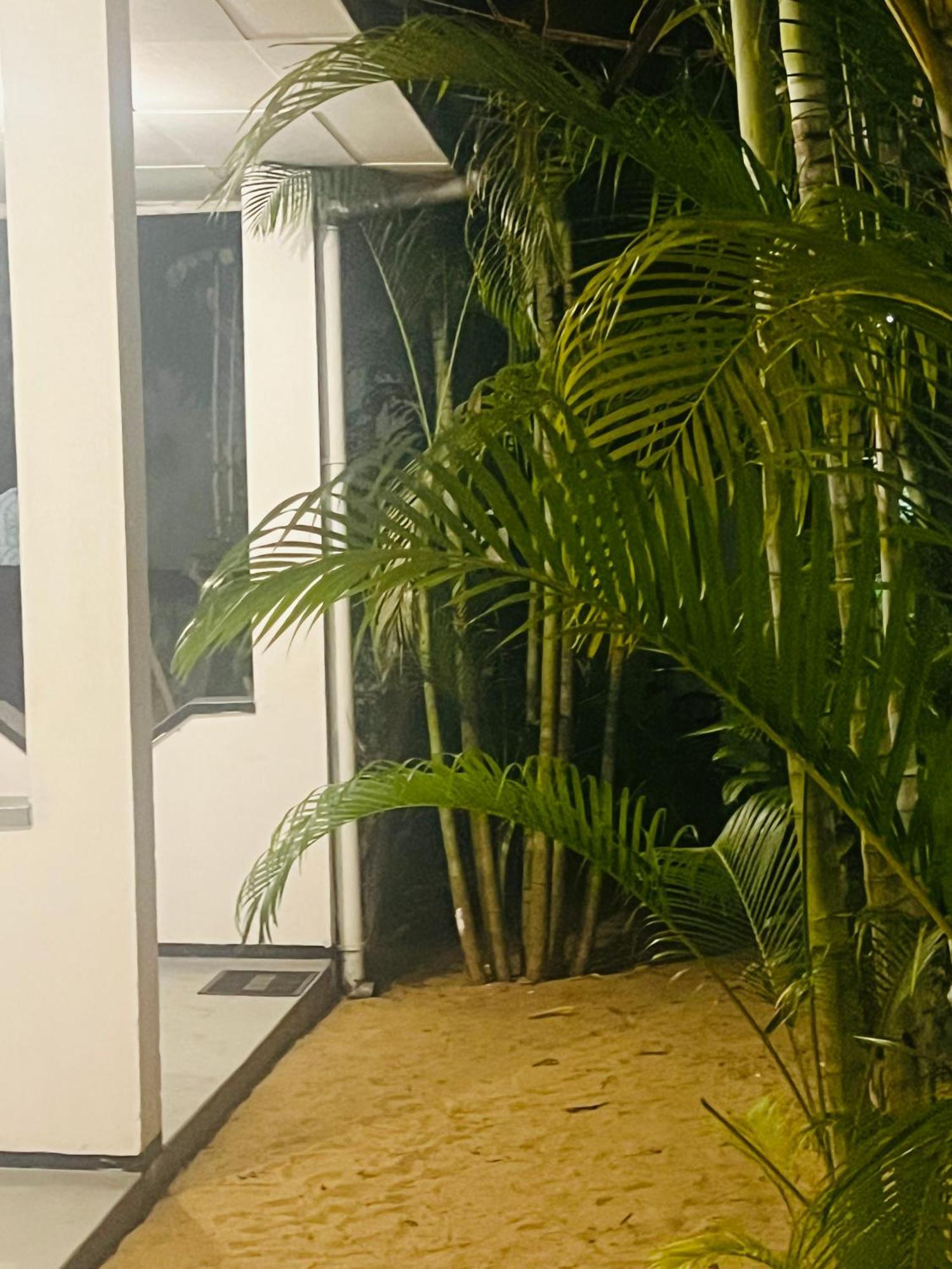 فندق Moxy Bay Arugambay آروغام المظهر الخارجي الصورة
